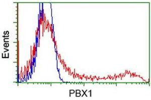 Flow Cytometry (FACS) image for anti-Pre-B-Cell Leukemia Homeobox Protein 1 (PBX1) antibody (ABIN1500045) (PBX1 Antikörper)