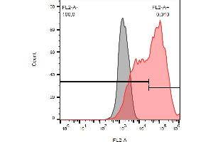 Separation of cells stained using anti-human 263 (TRAIL-R3-02) PE antibody (concentration in sample 5 μg/mL, red) from cells stained using mouse IgG1 isotype control (MOPC-21) PE antibody (concentration in sample 5 μg/mL, grey) in flow cytometry analysis (surface staining) of CD263 transfected HEK-293 cell suspension. (DcR1 Antikörper  (PE))