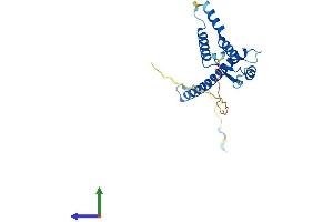 AlphaFold protein structure predicition of Human Recombinant TMA16 Protein, UniprotID Q96EY4