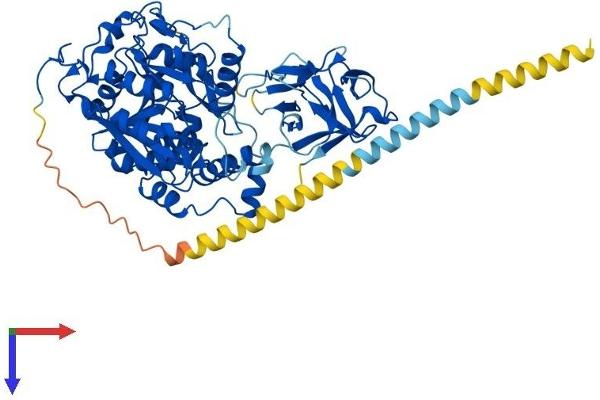 GALNT3 Protein (AA 1-633) (His tag)
