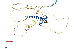 HOXA10 Protein (AA 1-410) (His tag)
