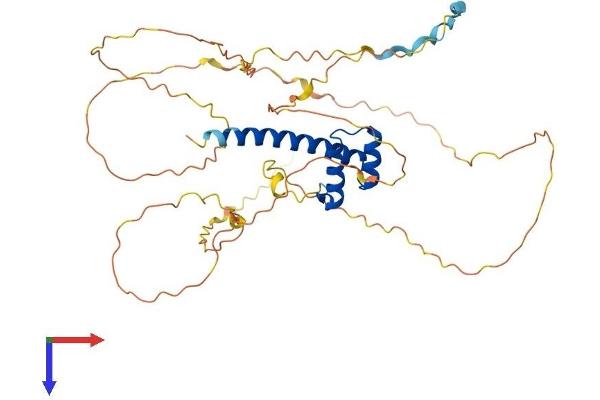 HOXA10 Protein (AA 1-410) (His tag)