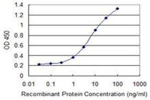 Detection limit for recombinant GST tagged CILP is 0. (CILP Antikörper  (AA 129-226))