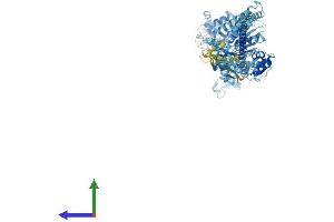 AlphaFold protein structure predicition of Mouse Recombinant Myo1h Protein, UniprotID Q9D6A1