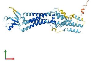 Protein Structure (PS) image for Pannexin 3 (PANX3) (AA 1-392) protein (His tag) (ABIN7550550)