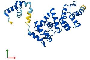 Protein Structure (PS) image for Defective in Cullin Neddylation 1, Domain Containing 1 (DCUN1D1) (AA 1-259) protein (His tag) (ABIN7561817)