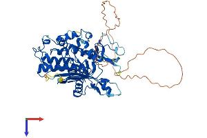ADAT1 Protein (AA 1-499) (His tag)