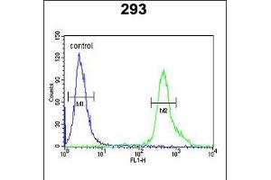 Flow cytometric analysis of 293 cells (right histogram) compared to a negative control cell (left histogram). (Tumor Protein p73 Antikörper  (AA 288-317))