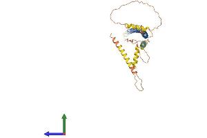 Protein Structure (PS) image for Coiled-Coil Domain Containing 54 (CCDC54) (AA 1-329) protein (His tag) (ABIN7561230)