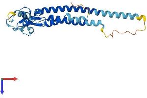 TRIM40 Protein (AA 1-246) (His tag)