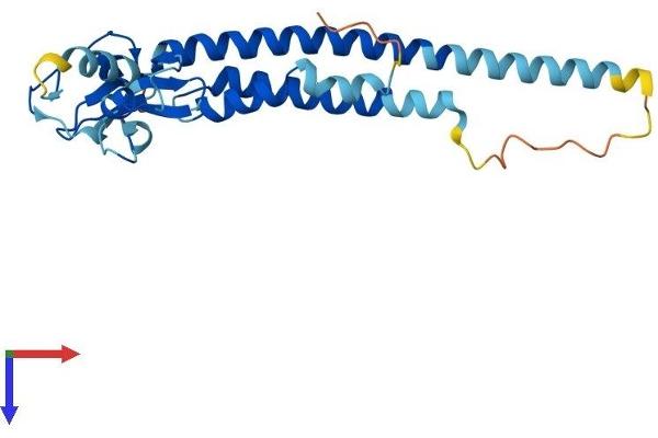 TRIM40 Protein (AA 1-246) (His tag)