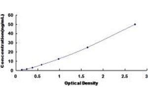 Typical standard curve (CHST9 ELISA Kit)