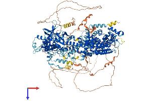 DROSHA Protein (AA 1-1374) (His tag)