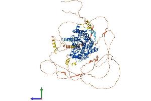 Protein Structure (PS) image for Histone Deacetylase 7 (HDAC7) (AA 1-938) protein (His tag) (ABIN7564505)