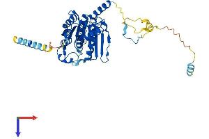 UBA5 Protein (AA 1-404) (His tag)