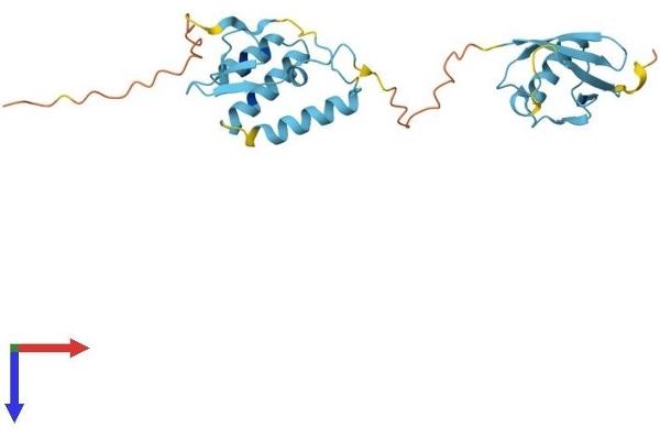 UBTD1 Protein (AA 1-227) (His tag)