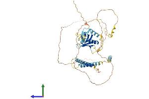 Protein Structure (PS) image for Pleckstrin Homology Domain Containing, Family O Member 2 (PLEKHO2) (AA 1-495) protein (His tag) (ABIN7559455)
