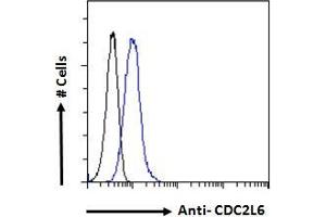 ABIN570894 Flow cytometric analysis of paraformaldehyde fixed HeLa cells (blue line), permeabilized with 0. (CDK19 Antikörper  (C-Term))