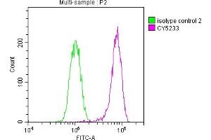 Overlay histogram showing Hela cells stained with ABIN7127616 (red line) at 1:50. (Rekombinanter c-MET Antikörper)