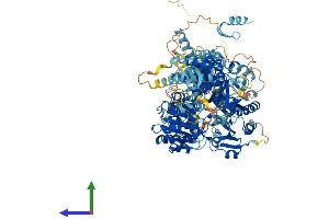 Protein Structure (PS) image for DEAH (Asp-Glu-Ala-His) Box Polypeptide 34 (DHX34) (AA 1-1145) protein (His tag) (ABIN7565011)