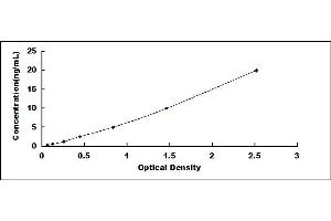 Typical standard curve (CNN2 ELISA Kit)