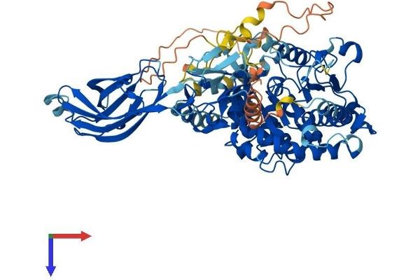 PLA2G4A Protein (AA 1-749) (His tag)