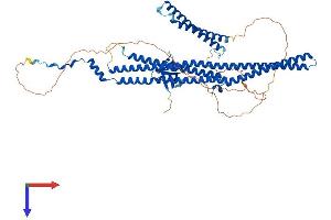 FNBP1L Protein (AA 1-605) (His tag)
