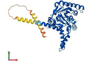 Protein Structure (PS) image for Diacylglycerol O-Acyltransferase 2 (DGAT2) (AA 1-388) protein (His tag) (ABIN7553643)