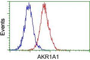 Image no. 4 for anti-Aldo-Keto Reductase Family 1, Member A1 (Aldehyde Reductase) (AKR1A1) antibody (ABIN1496543) (AKR1A1 Antikörper)