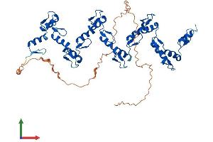 AlphaFold protein structure predicition of Human Recombinant ZNF71 Protein, UniprotID Q9NQZ8