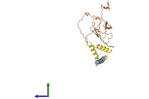 AlphaFold protein structure predicition of Human Recombinant C17orf78 Protein, UniprotID Q8N4C9