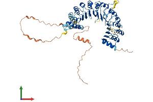 Protein Structure (PS) image for F-Box and Leucine-Rich Repeat Protein 6 (FBXL6) (AA 1-535) protein (His tag) (ABIN7561765)