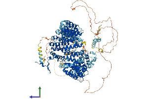 Protein Structure (PS) image for Splicing Factor 3b, Subunit 1, 155kDa (SF3B1) (AA 1-1304) protein (His tag) (ABIN7555439)