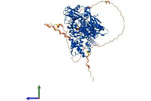 Protein Structure (PS) image for Lysine (K)-Specific Demethylase 1A (KDM1A) (AA 1-852) protein (His tag) (ABIN7554305)