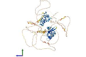 AlphaFold protein structure predicition of Mouse Recombinant Irf2bpl Protein, UniprotID Q8K3X4