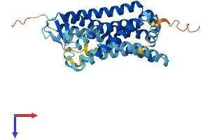 OR5V1 Protein (AA 1-321) (His tag)