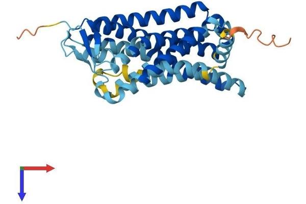 OR5V1 Protein (AA 1-321) (His tag)