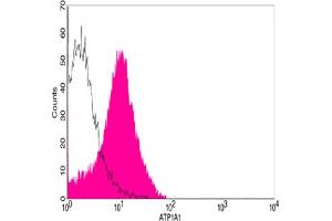 Flow cytometric analysis of HEK293 cells using ATP1A1 Antibody, pAb, Rabbit (ABIN398982, shaded histogram) or with an isotype control antibody (ABIN398653, open histogram), followed by R-PE conjugated anti-rabbit IgG.