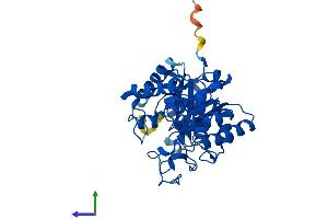 Protein Structure (PS) image for Betaine--Homocysteine S-Methyltransferase 2 (BHMT2) (AA 1-363) protein (His tag) (ABIN7560055)