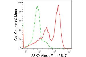 Flow cytometric analysis of S6K2 expression in HAP-1 cells using S6K2 antibody (ABIN7800227), 1:2,000). (Rekombinanter RPS6KB2 Antikörper)