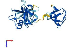 GRB2 Protein (AA 1-217) (His tag)