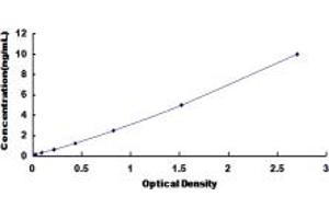 CRISP2 ELISA Kit