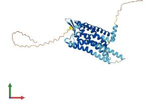 Protein Structure (PS) image for Prolactin Releasing Hormone Receptor (PRLHR) (AA 1-370) protein (His tag) (ABIN7558117)