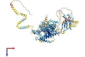 SNX14 Protein (AA 1-964) (His tag)