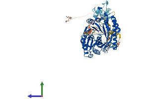 Protein Structure (PS) image for tRNA Methyltransferase 2 Homolog A (TRMT2A) (AA 1-625) protein (His tag) (ABIN7544777)