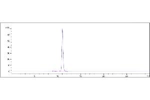 anti-CD73 (Uliledlimab Biosimilar) antibody