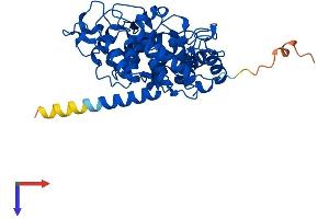 PGGT1B Protein (AA 1-377) (His tag)