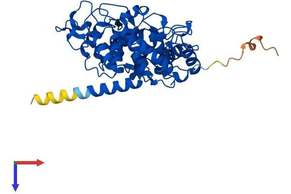 PGGT1B Protein (AA 1-377) (His tag)
