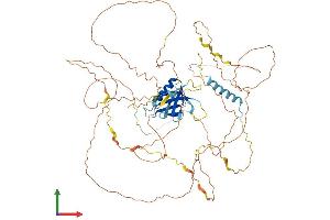Protein Structure (PS) image for GRB2-Associated Binding Protein 2 (GAB2) (AA 1-665) protein (His tag) (ABIN7565282)