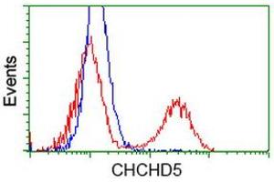 Image no. 4 for anti-Coiled-Coil-Helix-Coiled-Coil-Helix Domain Containing 5 (CHCHD5) antibody (ABIN1497488) (CHCHD5 Antikörper)